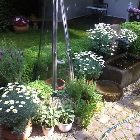 Lilis Kleines 3* Munster (North Rhine-Westphalia)