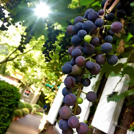 Lilis Kleines Gasthuis 3*