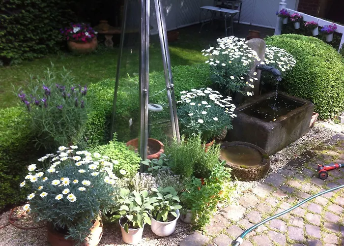 Lilis Kleines 3* Munster (North Rhine-Westphalia)